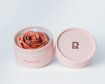 Imagen de Rubor Tono Floral MYSTIC ROSE
